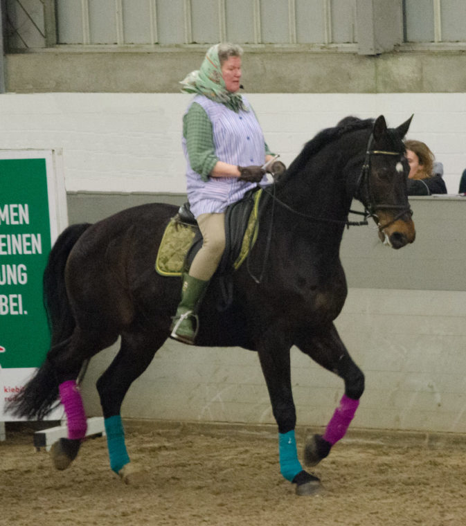 Hengstvorführung, Luhmühlen