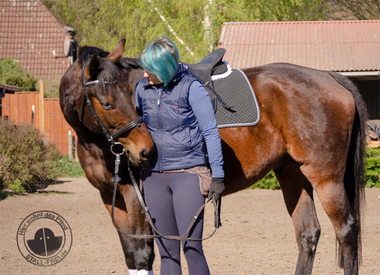 Reitanfänger, Reiten lernen als Erwachsener, Reitkurs, Reitschule, Reiter, Pferd, aufsitzen, Wallach