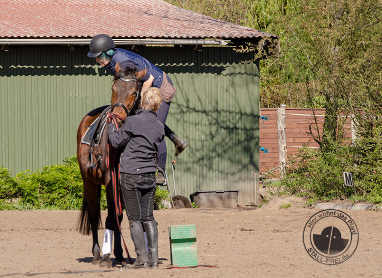 Reitanfänger, Reiten lernen als Erwachsener, Reitkurs, Reitschule, Reiter, Pferd, aufsitzen, Wallach