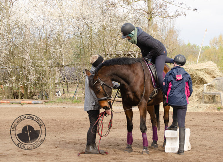 Reiten lernen als Erwachsener, Reiten, Reitschule, Reitanfänger, Reiter, Pferd, Reiterhof