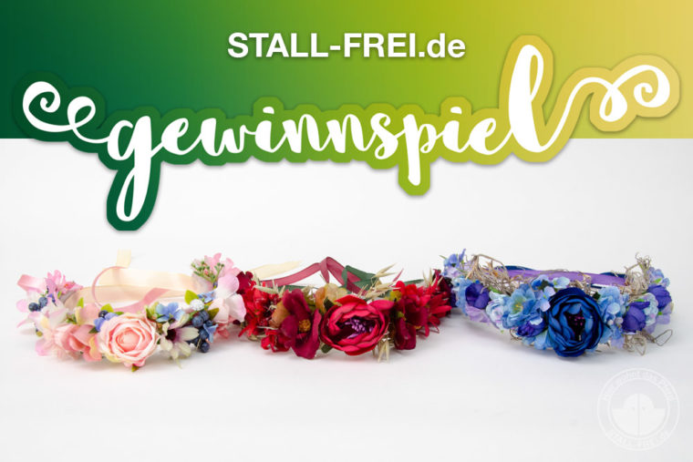 STALL-FREI.de, sweet 16, Geburtstag, 16. Geburtstag, Blütenpferdchen, Stirnriemen, Gewinnspiel, Onlinverzeichnis, Stallverzeichnis, freie Boxen