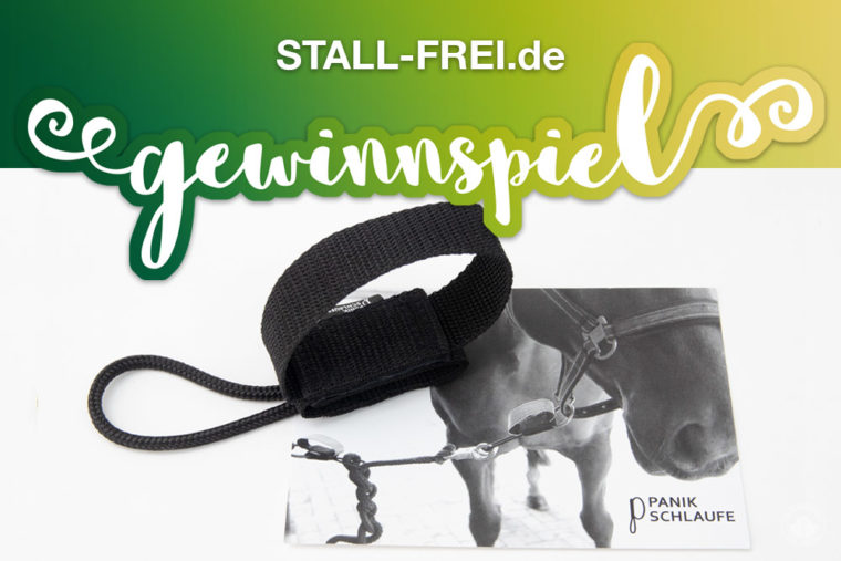 Gewinnspiel, Giveaway, STALL-FREI.de, Panikschlaufe, Pferd, Isländer, Pony, Shetty, Friese, Haflinger, führen, anbinden, Halfter Strick