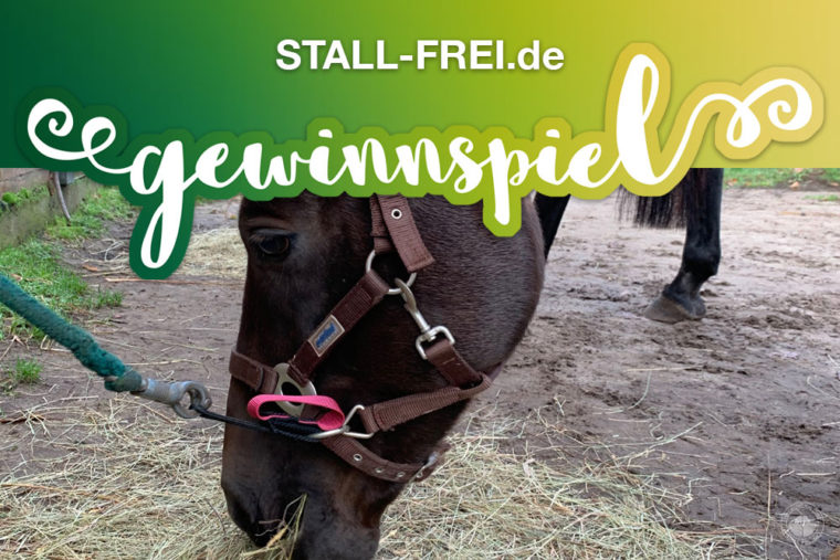 Gewinnspiel, Giveaway, STALL-FREI.de, Panikschlaufe, Pferd, Isländer, Pony, Shetty, Friese, Haflinger, führen, anbinden, Halfter Strick