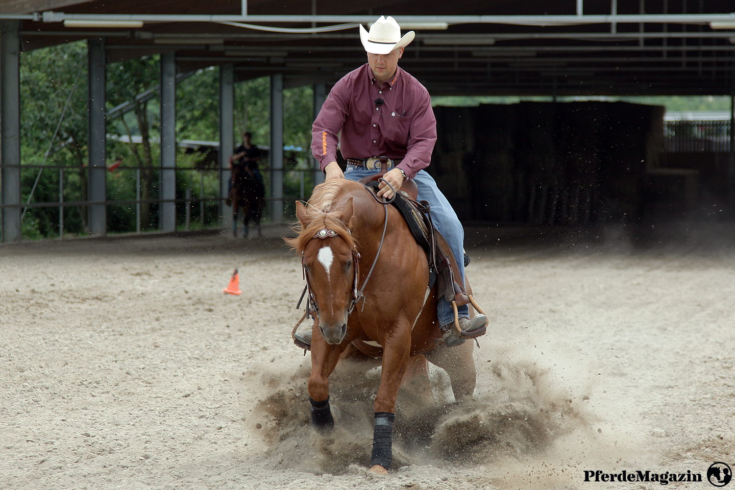 PferdeMagazin, Online-Magazin, Plattform, Vidoes, Artikel, Pferde, Pferdewissen, Reitsport, Pferdeausbildung, Gesundheit, Reiter