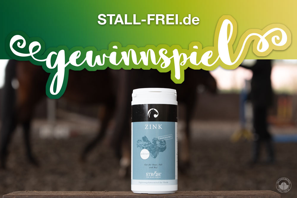 Gewinnspiel Nahrungsergänzung Zink