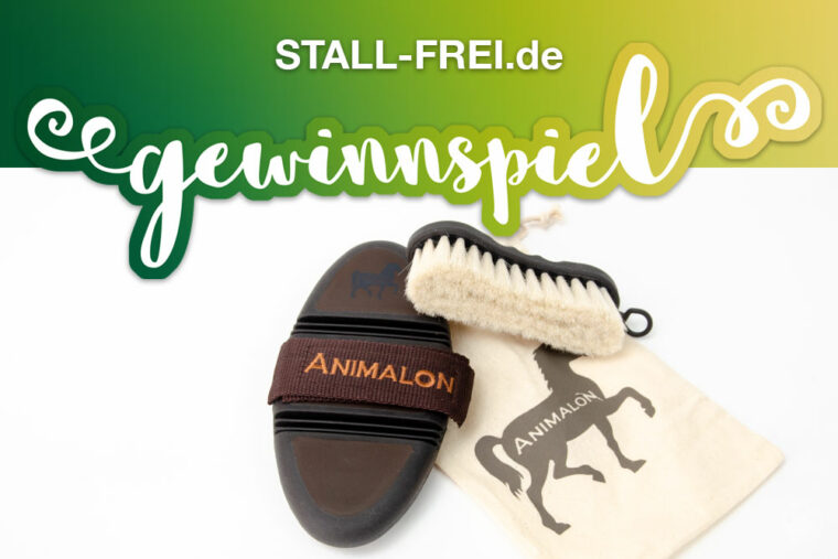 Gewinnspiel massagebürste gesichtsbürste pferd