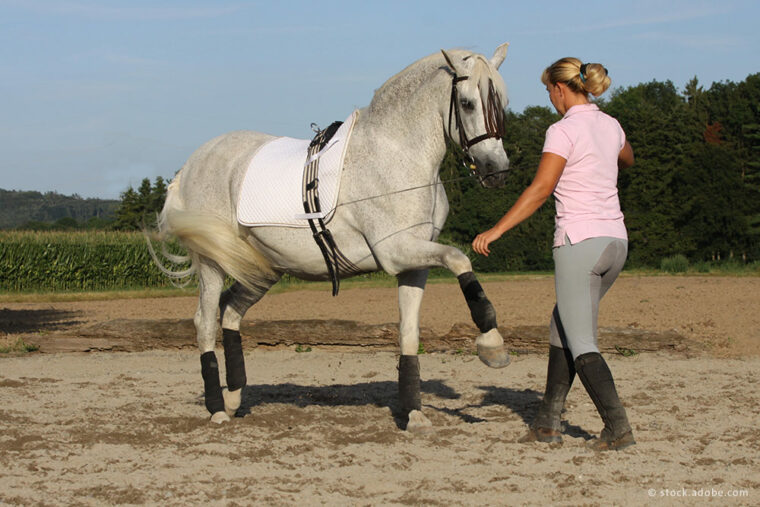 Reiterin bildet Pferd aus