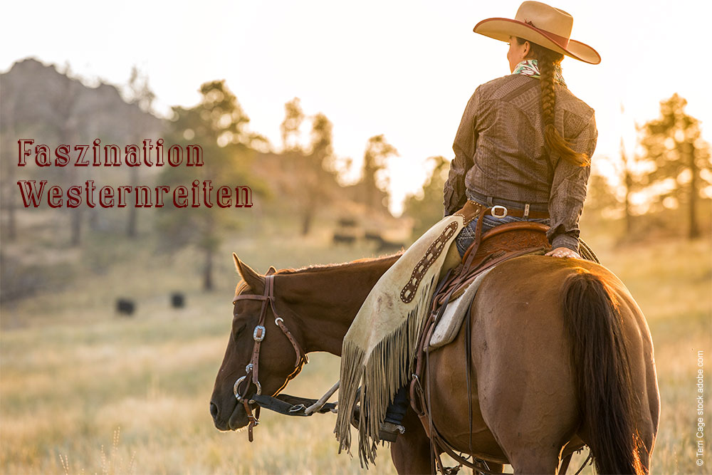 Westernreiterin auf Pferd schaut in sonnenuntergang