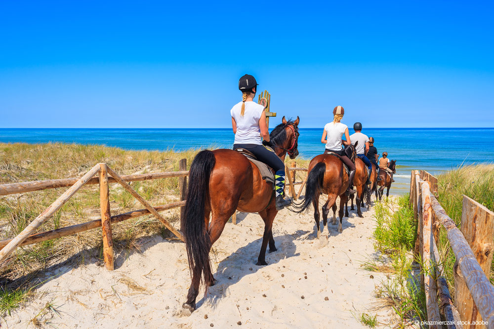 Reiten am Strand mit salziger Luft