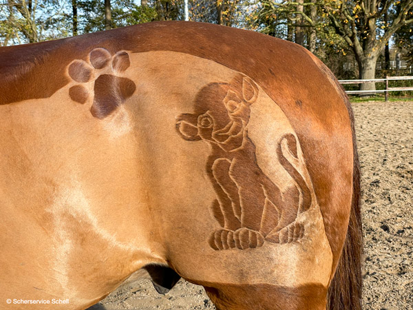 Fuchs mit Chaser-Schur und Löwe