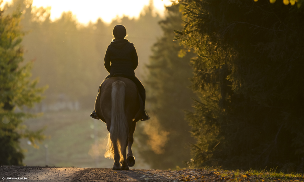 Reiten in der Dämmerung