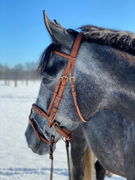 Pferde gesund im Winter Checkliste