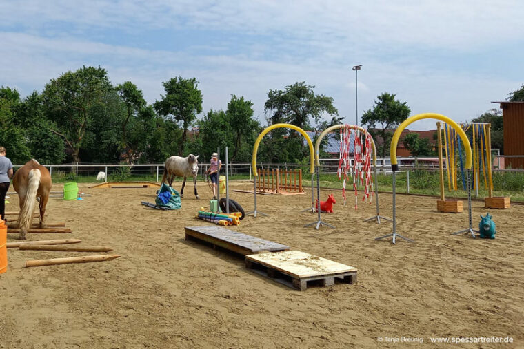 Pferdespielplatz für Gelassenheit und Horse agility mit Kursangebot