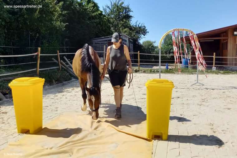 Horseagility auf Pferdespielplatz mit Plane und Tonnen